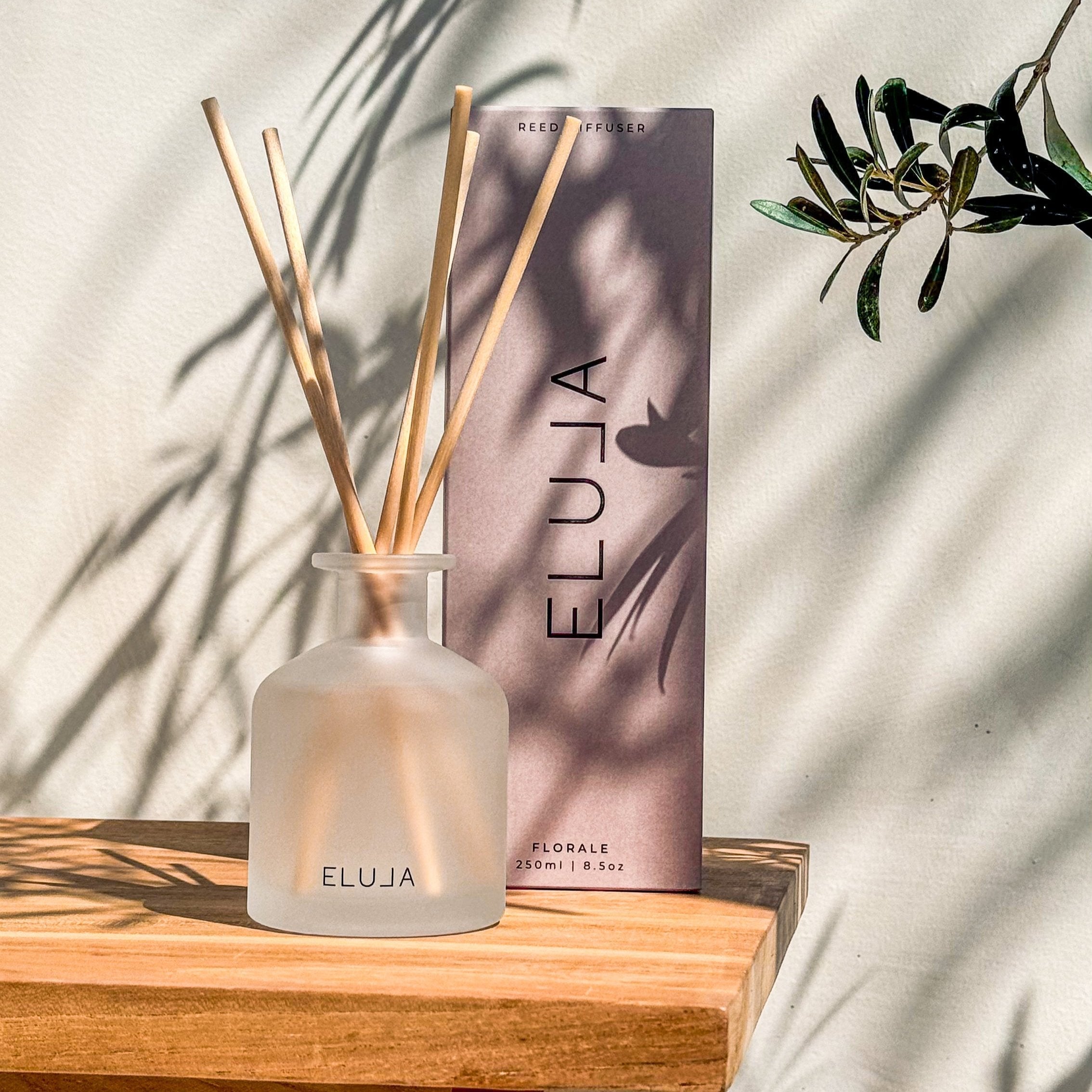 Reed Diffuser | FLORALE Diffuser in White Orchid