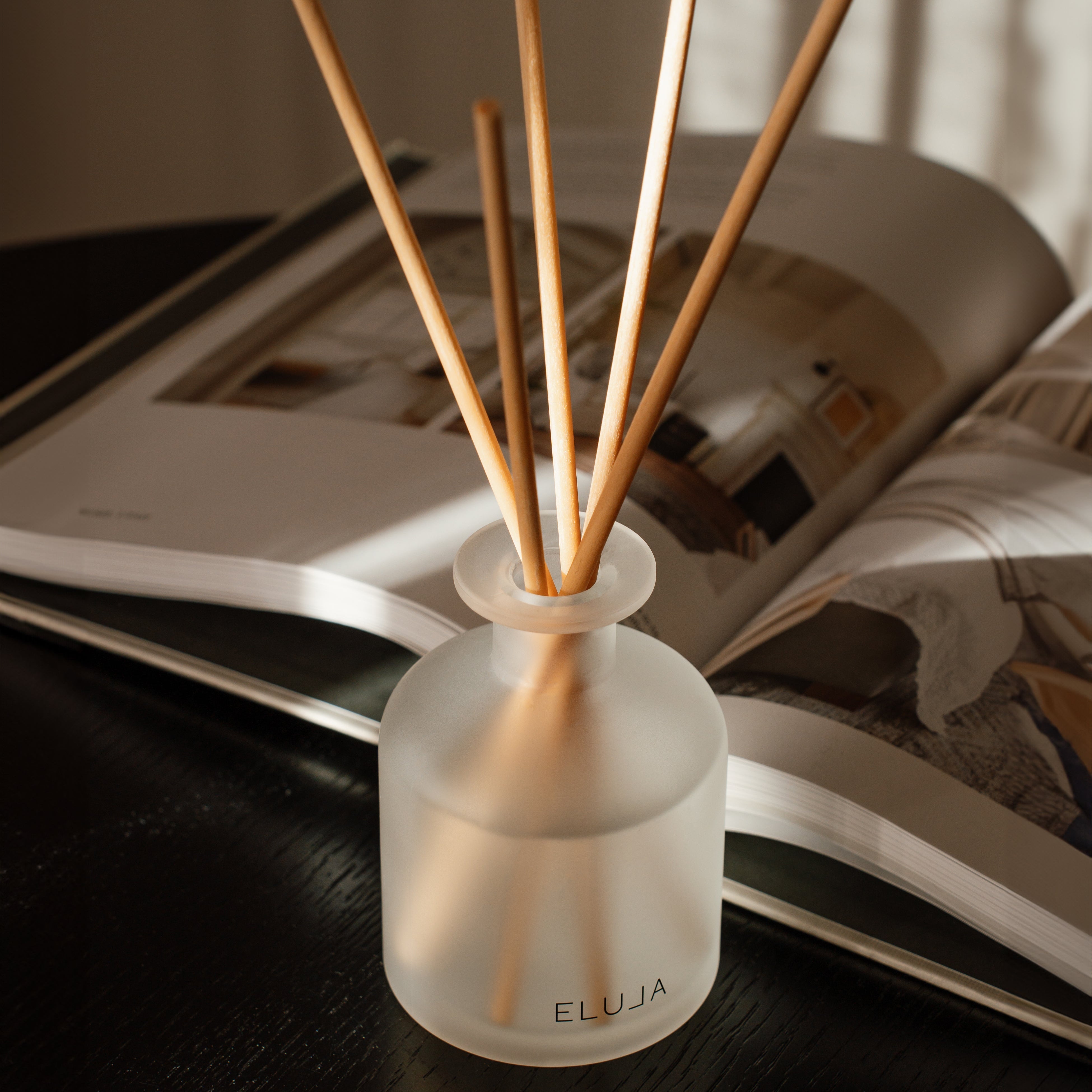 Reed Diffuser | LES BAIES Diffuser in Black Raspberry & Vanilla